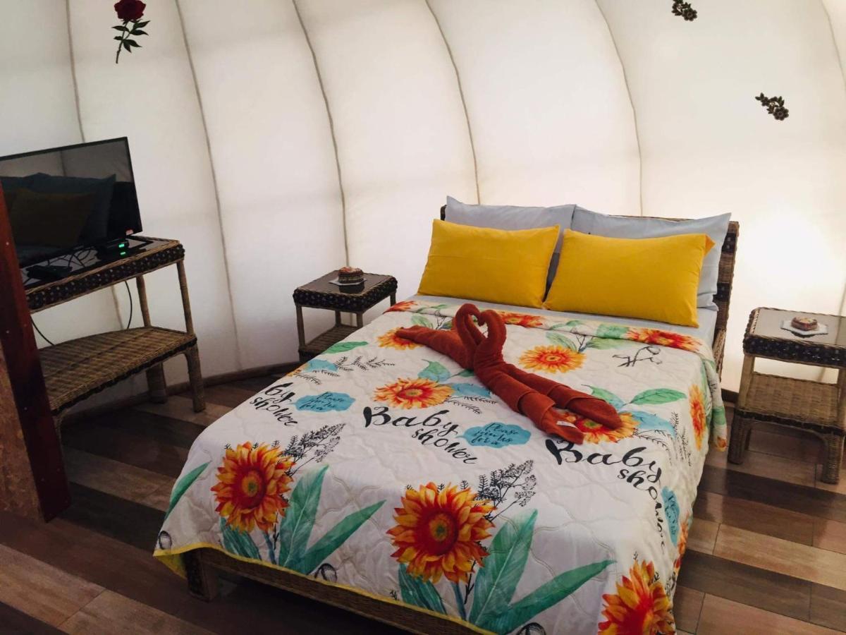 Shenanigans Glamping Resort Zamboanguita  Kültér fotó