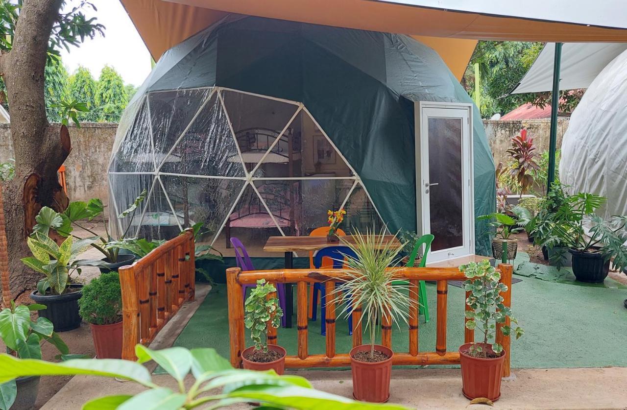 Shenanigans Glamping Resort Zamboanguita  Kültér fotó